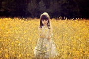 算命婚姻树结的果子,有婚姻树的占卜软件是什么【生活资讯】