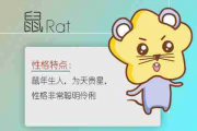 2025年运势12生肖运势详解,2025运势【生活资讯】