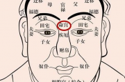 卜易免费算命测运势,卜易免费算命大全【生活资讯】