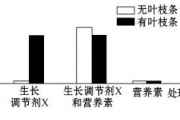 免费算命婚姻何时结婚电话号码发过来,免费算命结婚对象什么时候出现【生活资讯】