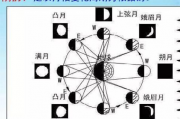 2025年属兔几月出生最好,2025年属兔是什么命【生活资讯】